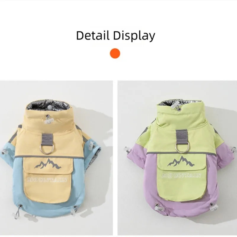 Dog windbreaker in sunny yellow-blue colour block, windproof two-legged cotton coat with tall collar and D-ring on a small dog