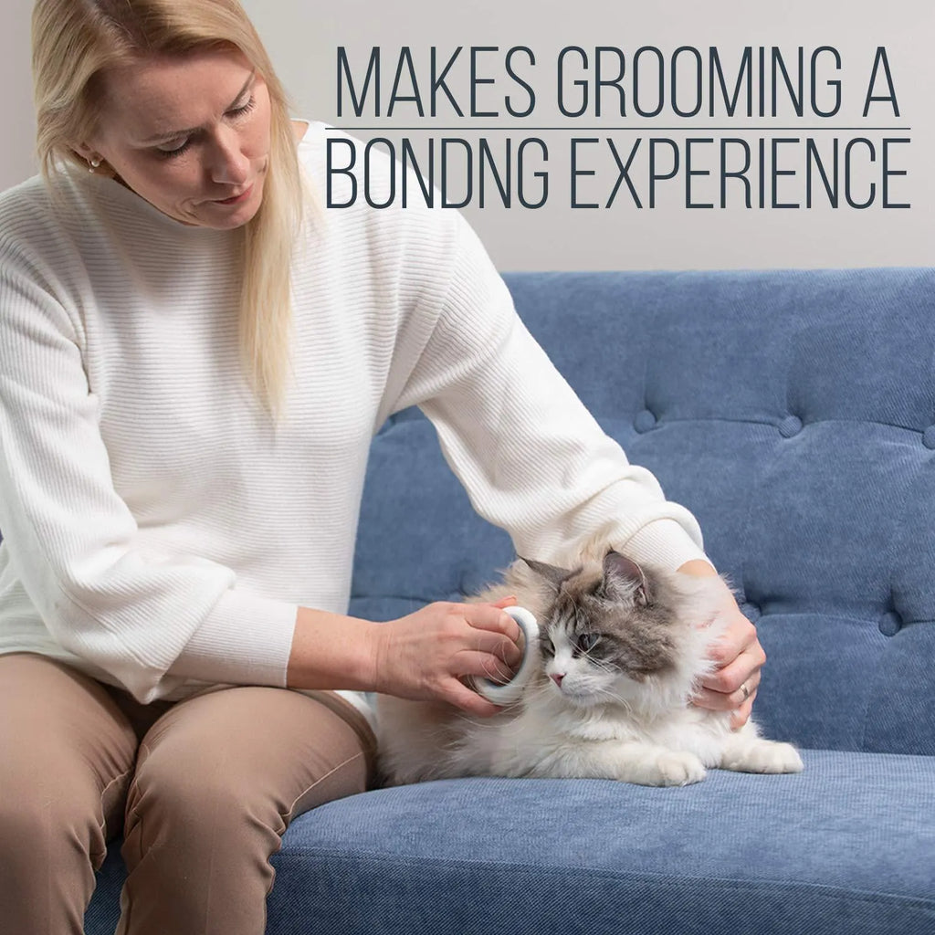 Blue plastic pet grooming comb for cats and dogs on a white background.