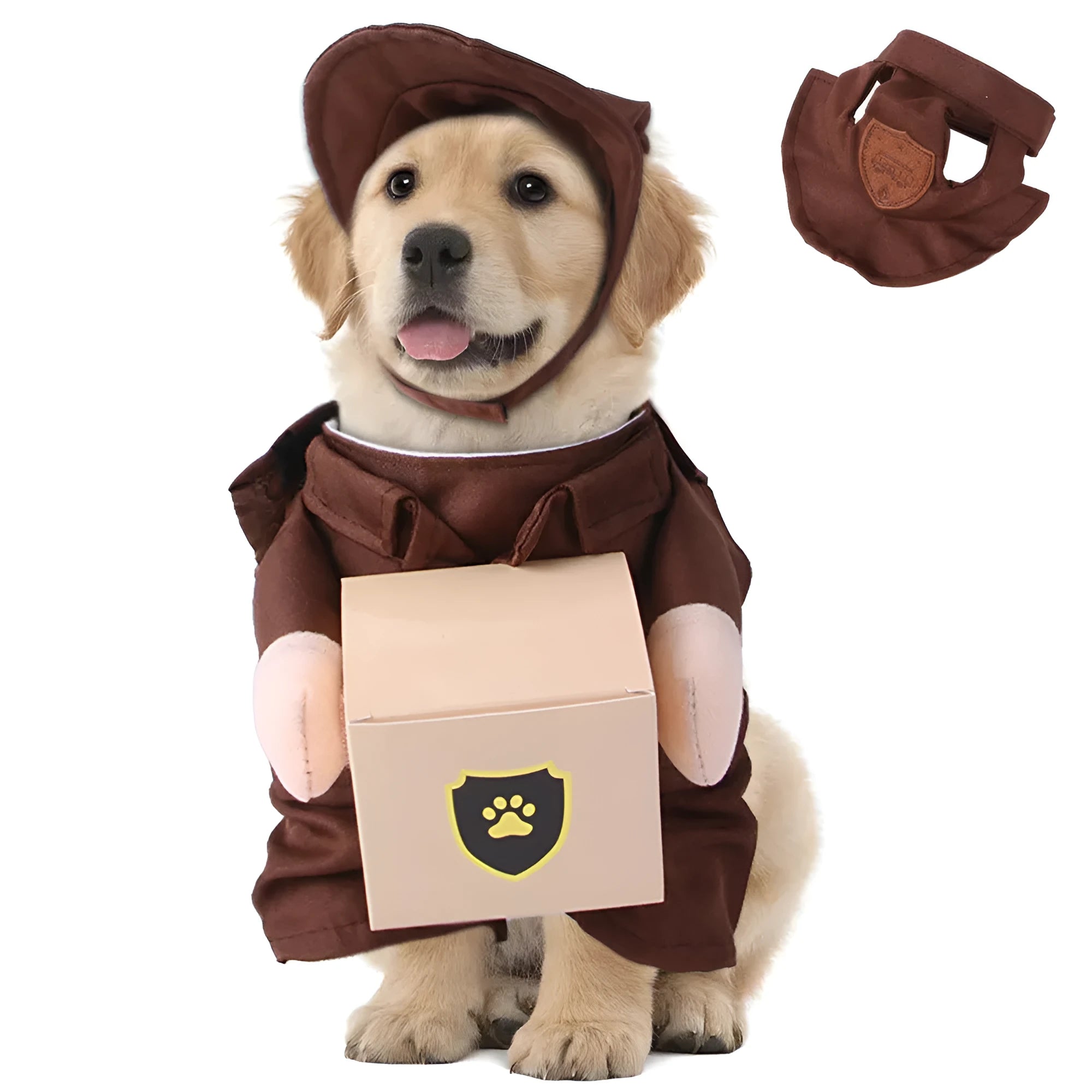 Coffee coloured pet clothing with standing collar design on dog model