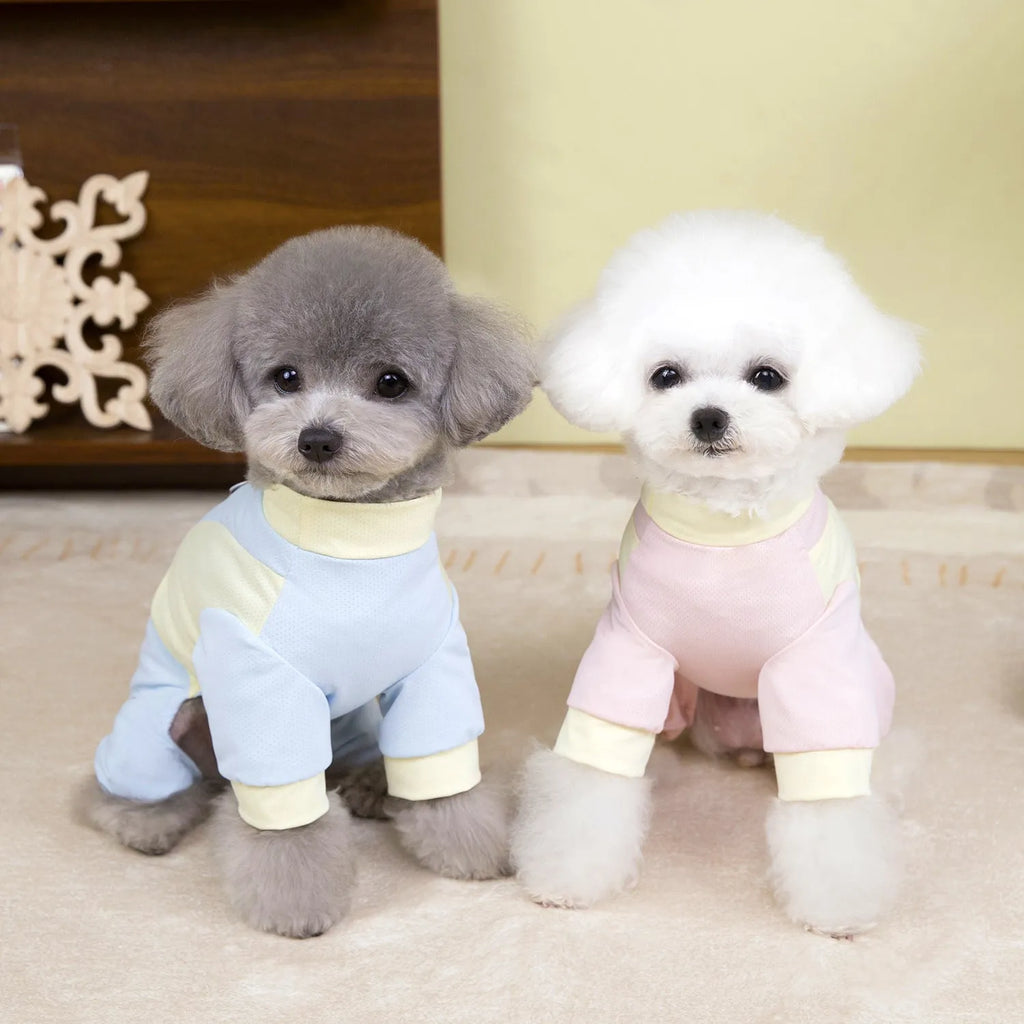 Blue ice silk mesh lightweight sun protection polyester dog vest on a small dog