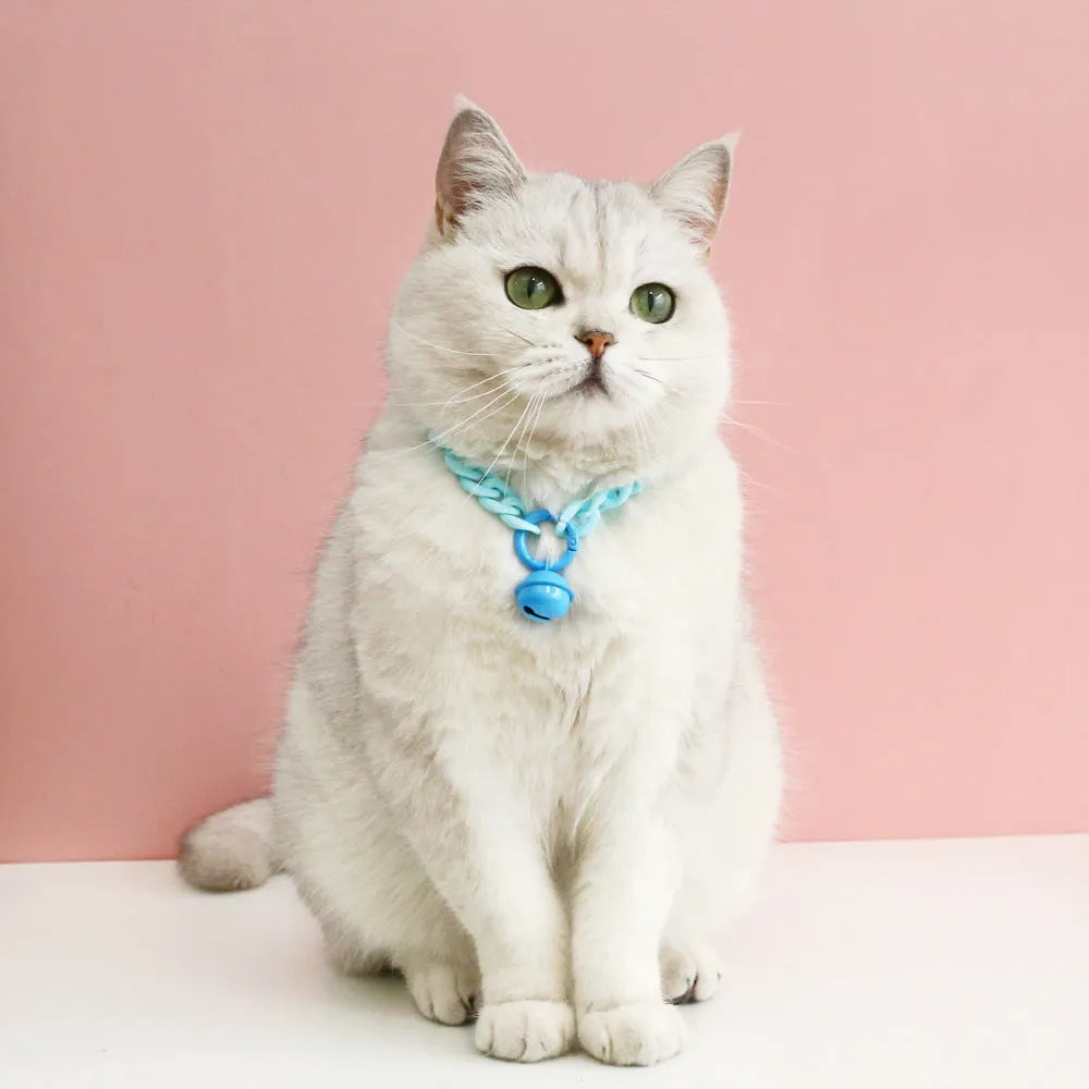 A macaron candy coloured plastic pet collar with chain detailing, shown in blue, pink, and mixed colour options.