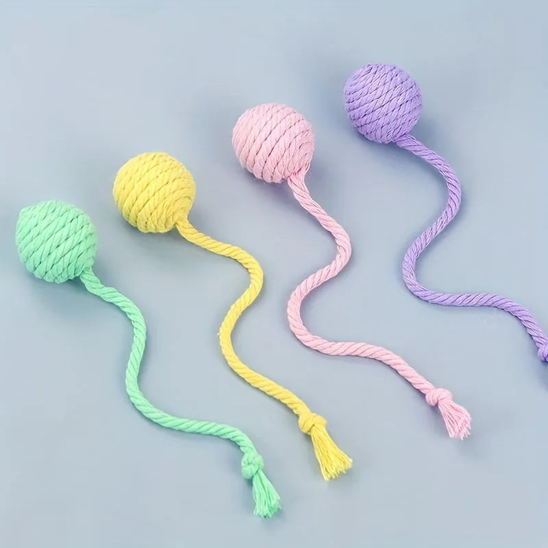 Colourful cat toy ball with attached rope and internal bell, shown in green, pink, purple, and yellow variants.