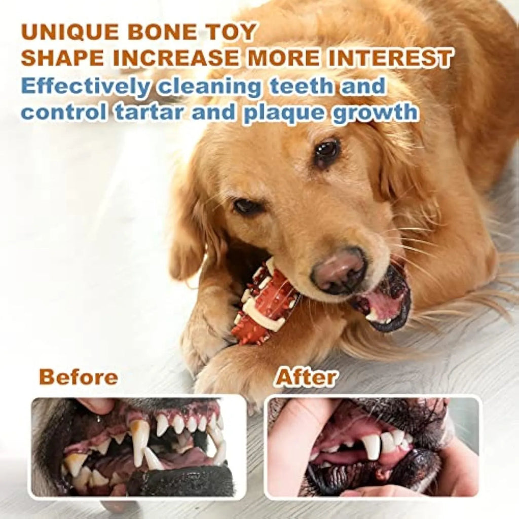 Bone-shaped natural rubber pet molar chew toy shown in two sizes