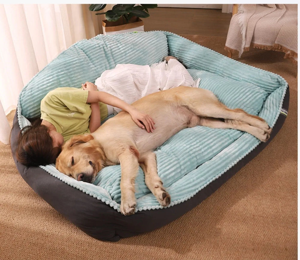 Light green winter dog bed with removable washable cover in velvet and PP cotton, available in four sizes