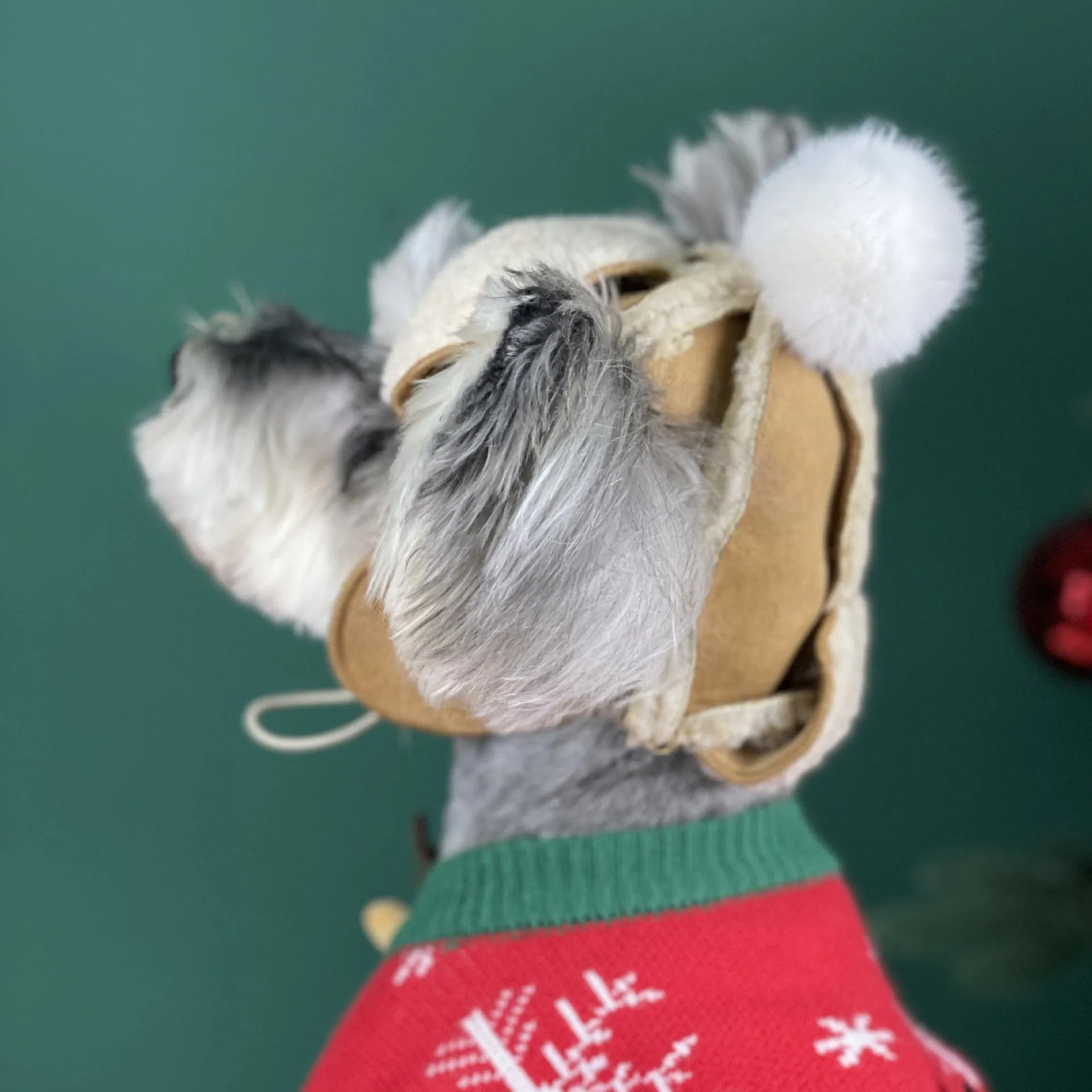 Brown turn ear cap dog hat for Schnauzer and Teddy breeds, size S or L