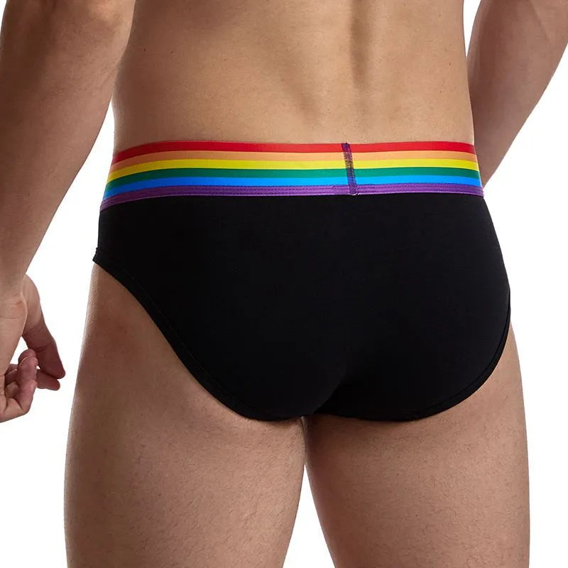 Men's low rise nylon briefs in solid colour black, breathable sheer underwear with transparent fabric