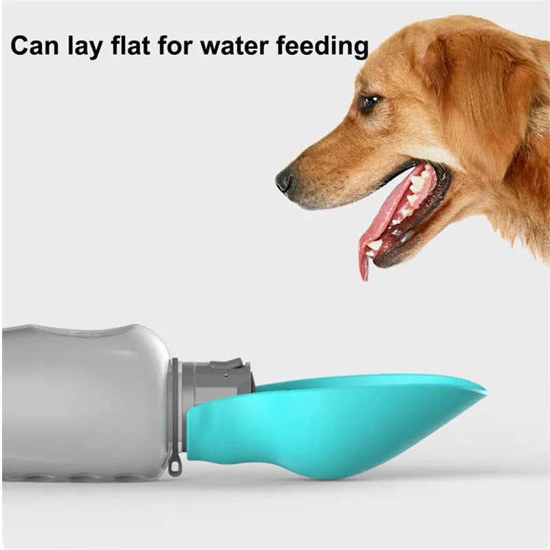 800ml portable dog water bottle with blue foldable drinking bowl and wrist strap