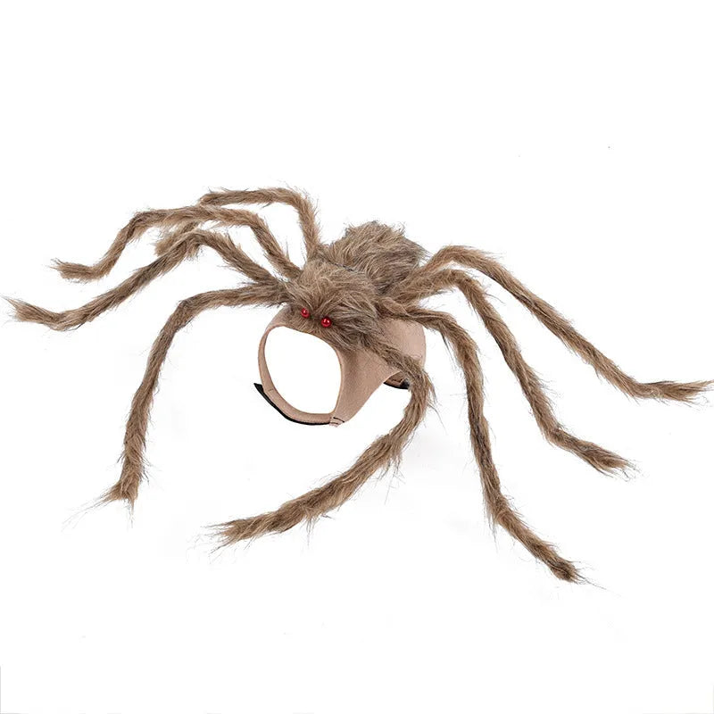 Grey polyester spider costume for a small dog on Halloween.