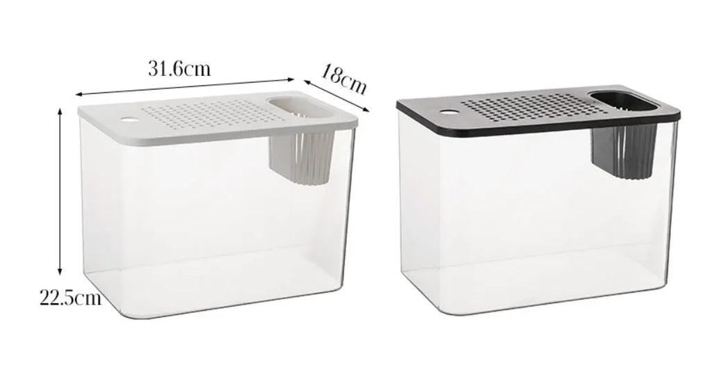 Compact black plastic betta fish tank with a clear cover on a wooden desk.