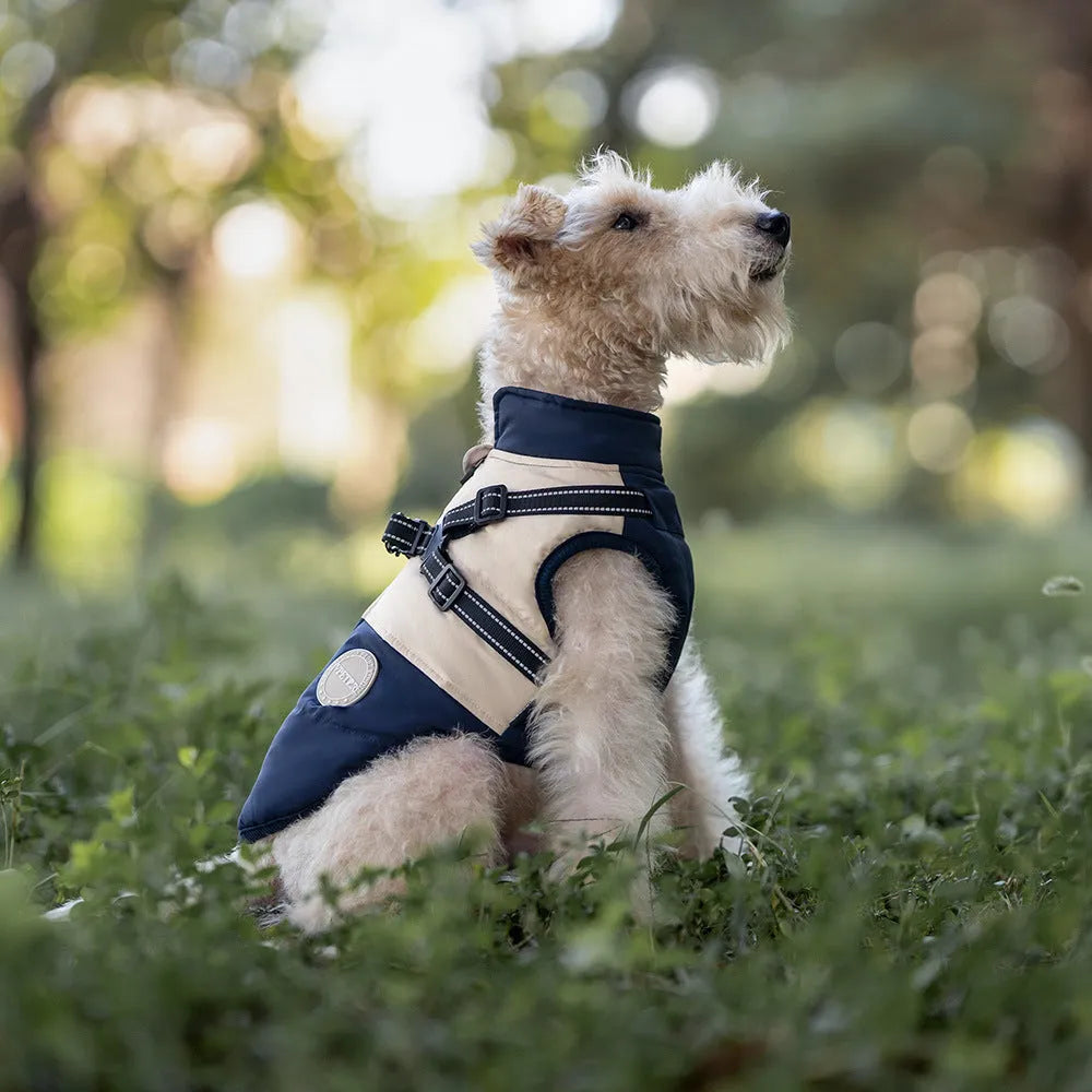 Pet dog windproof chest back integrated coat in navy blue British style polyester