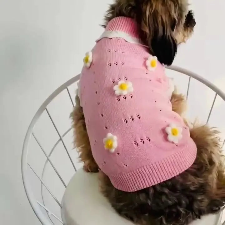 Green flower blossom dog sweater on a small pet showing detailed sizing options