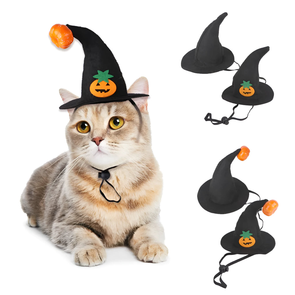 Adjustable cloth Halloween hat for pets showing embossed pumpkin design on cat