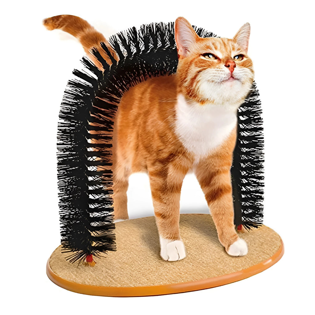 White plastic cat grooming arch with a built-in brush for scratching and rubbing.