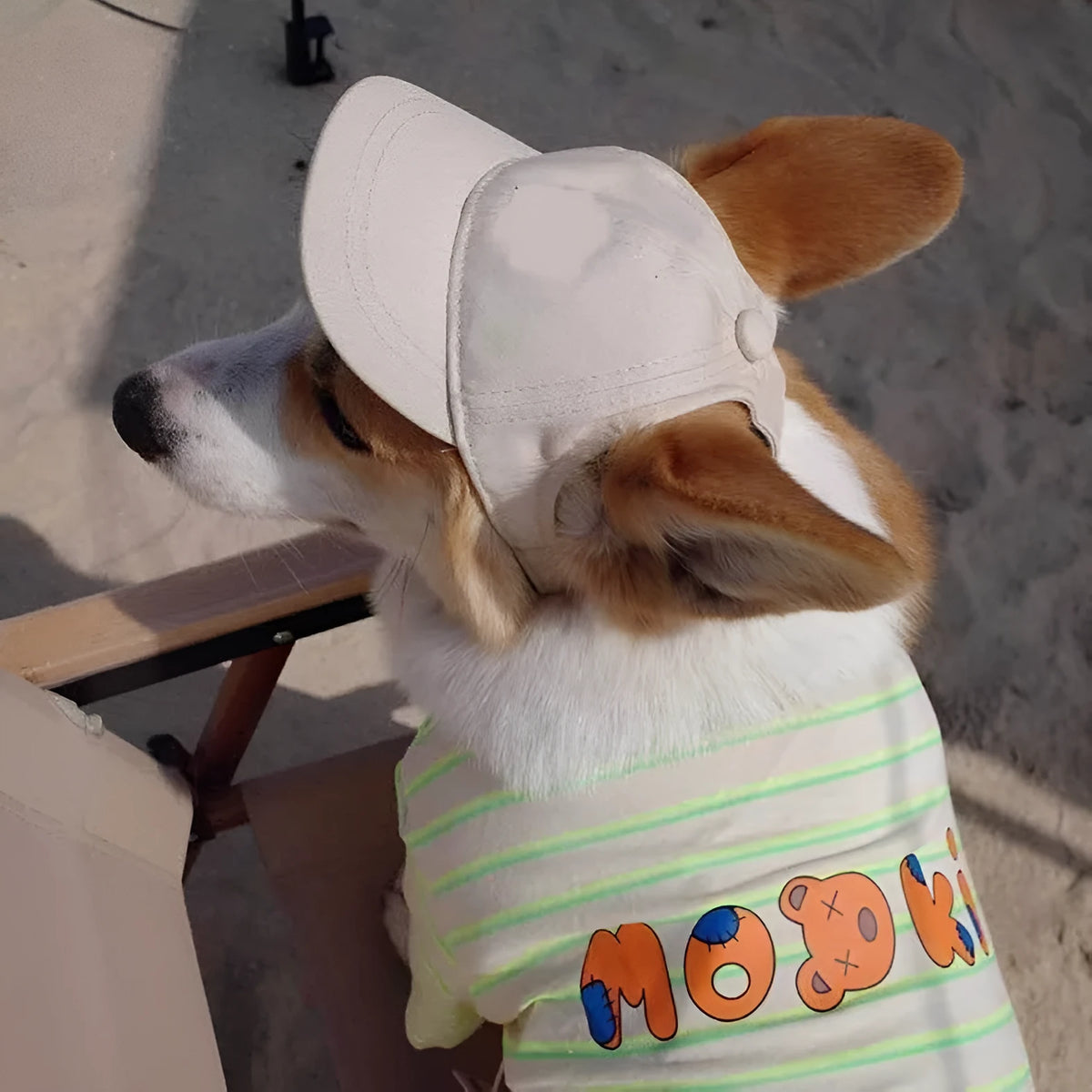 Adjustable cotton pet baseball cap with exposed ears, shown in apricot, blue, milk blue, purple or black