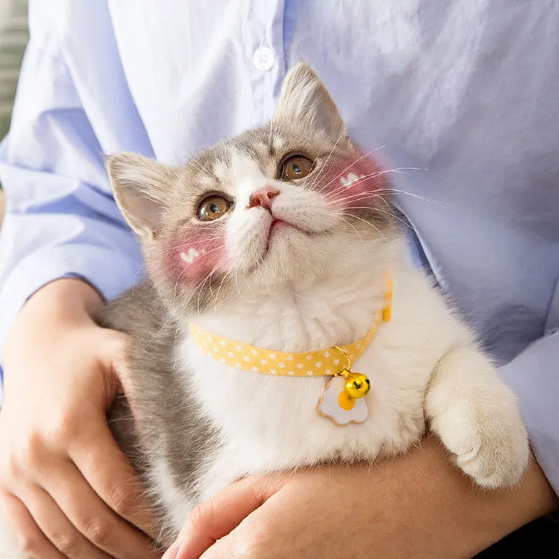 Adjustable green cat collar with a silver bell and pink bow tie on a white background.