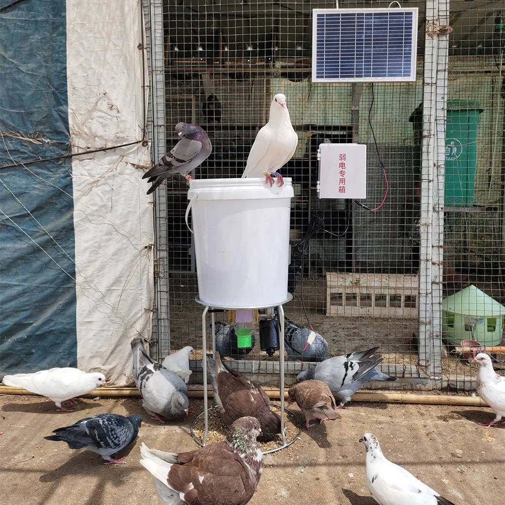 Automatic chicken and duck feeding machine with solar panel and watertight caisson design