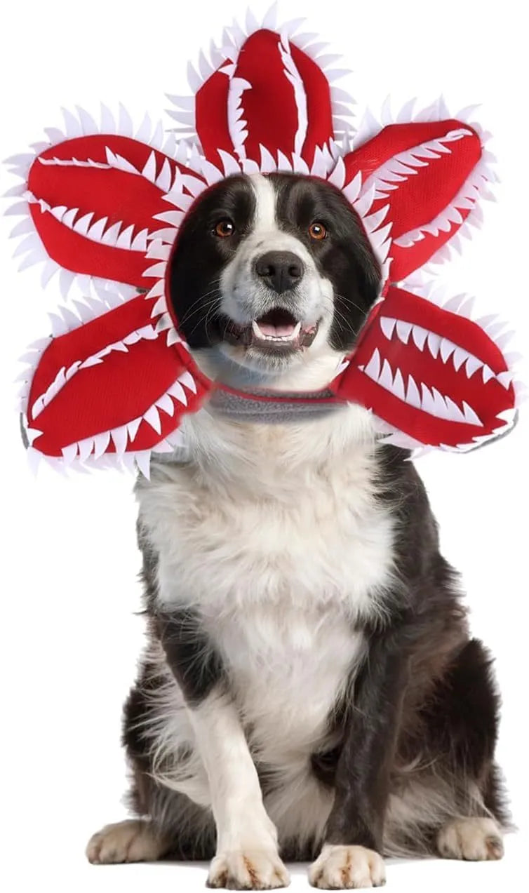 Dog wearing green and red Halloween chomper costume with demon hat headband and colourful flowers