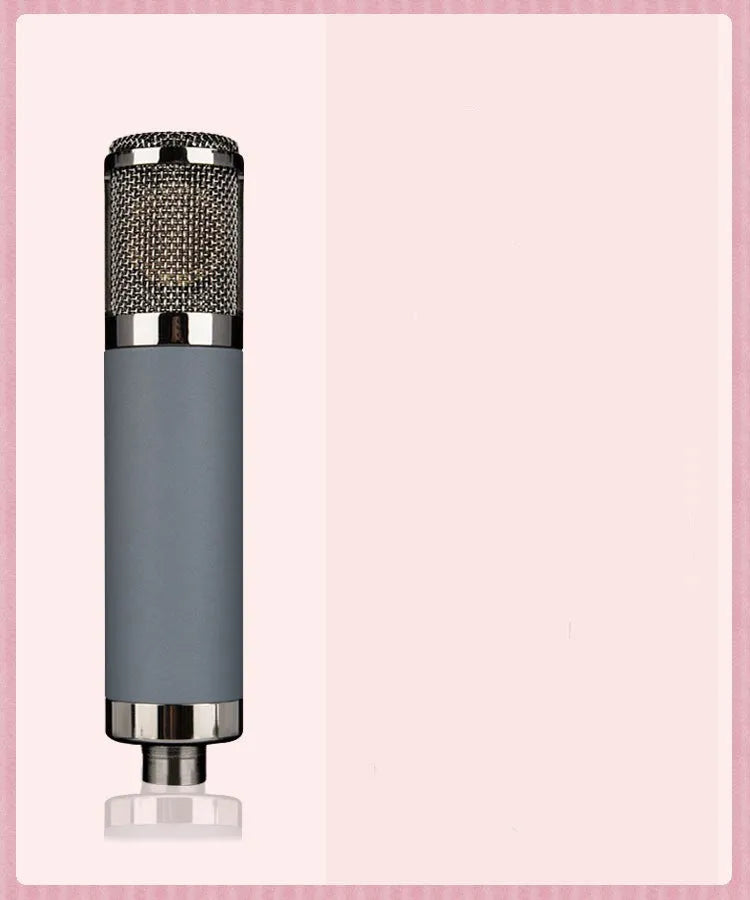 34mm gold diaphragm 48V condenser microphone with shockproof rack, Cannon cable, and aluminium box