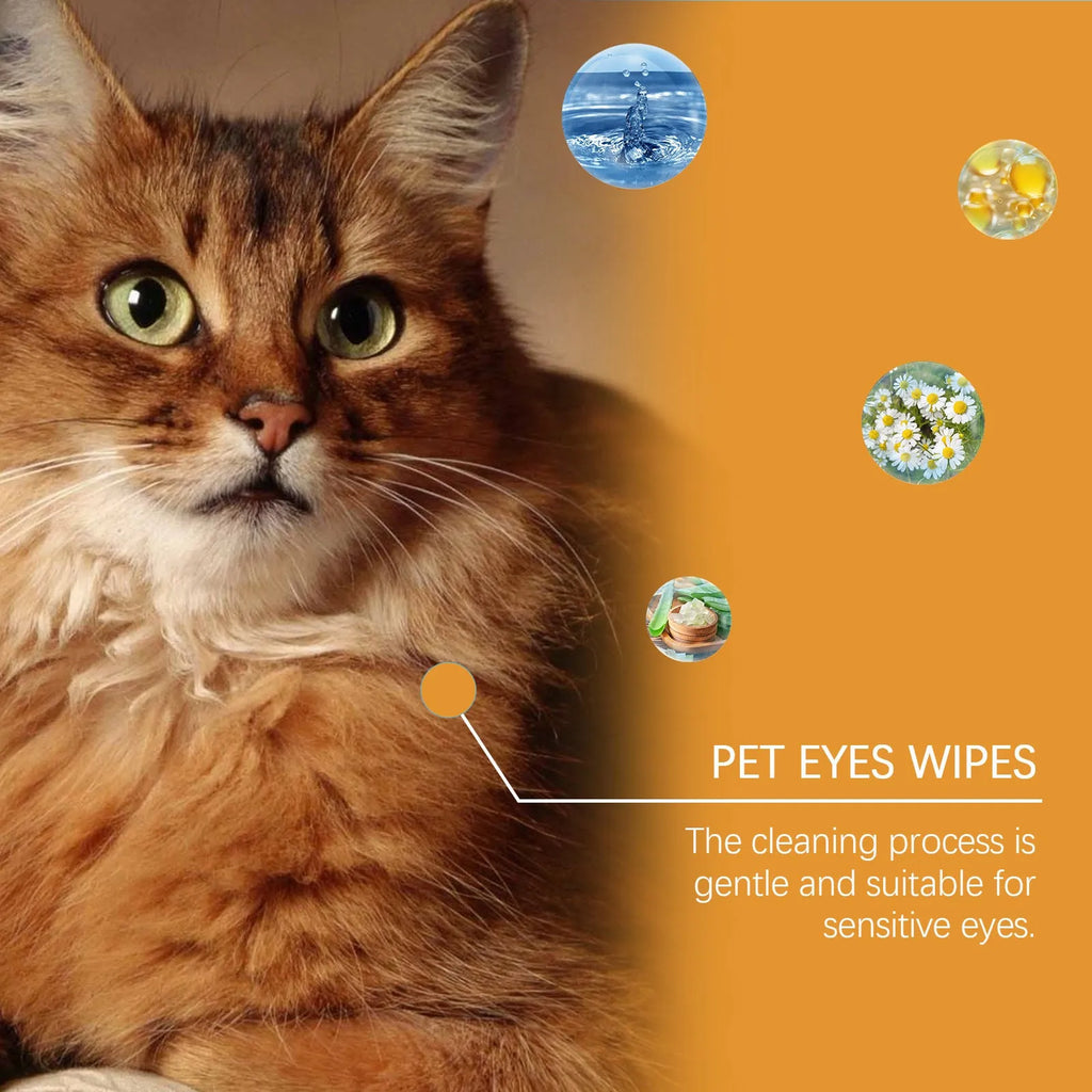 Box of Dogs And Cats Eyes Wet Wipes 60 pieces for pet eye tear stain cleaning