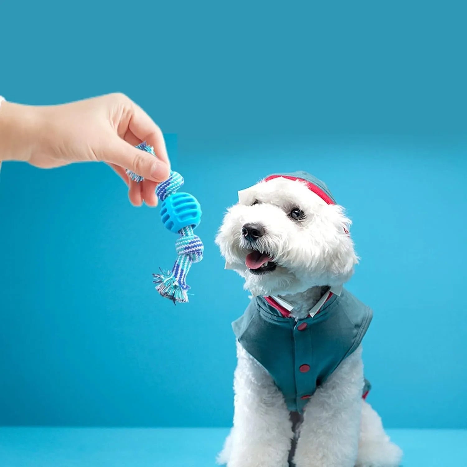 Blue soft dog chew toy with rope attachment for teeth cleaning and tug play.