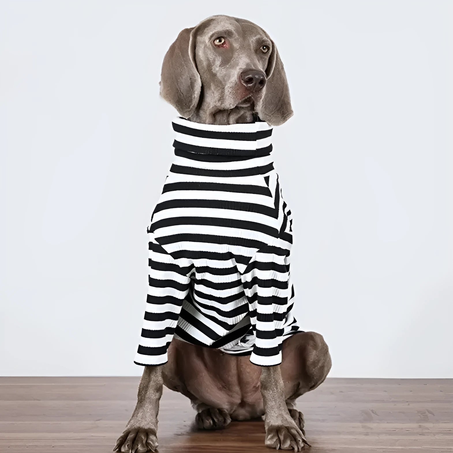 Black and white thin polyester dog clothing for large breeds in multiple sizes