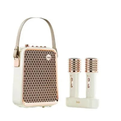 Portable Bluetooth karaoke speaker set with two microphones, green or white, rechargeable lithium battery