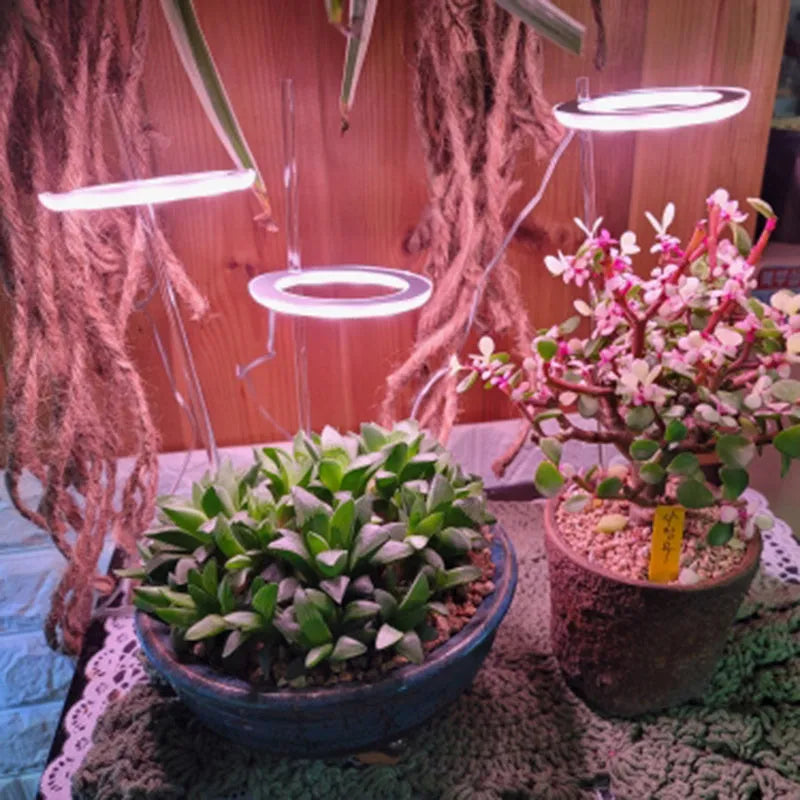 USB-powered LED grow light with zinc alloy casing for indoor plants measuring 90mm diameter
