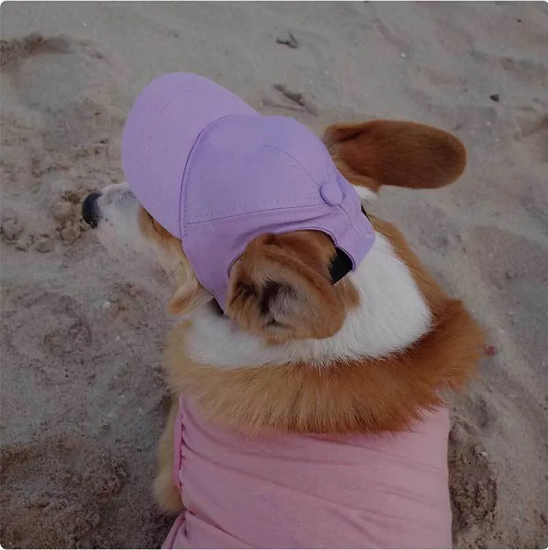Adjustable cotton pet baseball cap with exposed ears, shown in apricot, blue, milk blue, purple or black