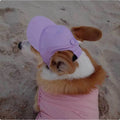 Adjustable cotton pet baseball cap with exposed ears, shown in apricot, blue, milk blue, purple or black