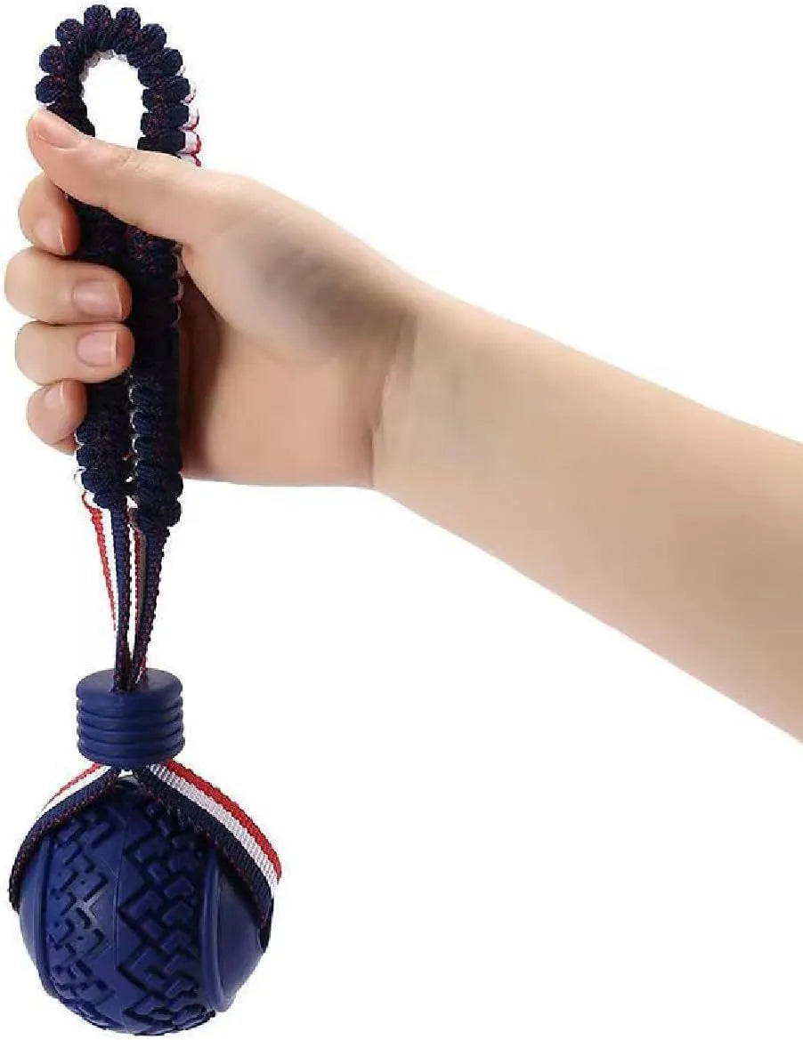 Blue rubber dog ball with rope attachment for tug-of-war and teeth cleaning
