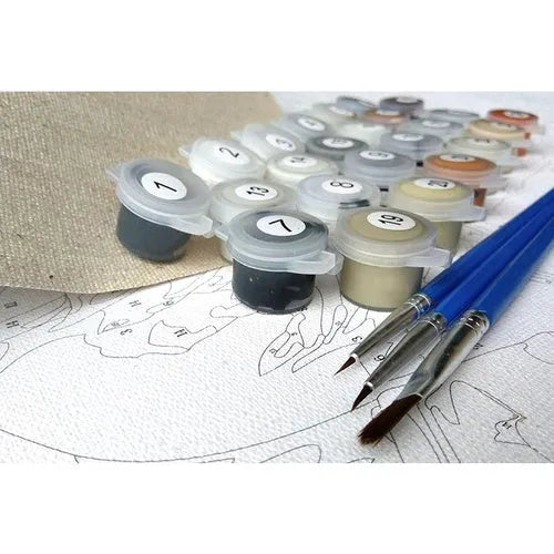 Scared or Surprised DIY painting by numbers kit with canvas, acrylic paints, and three brushes