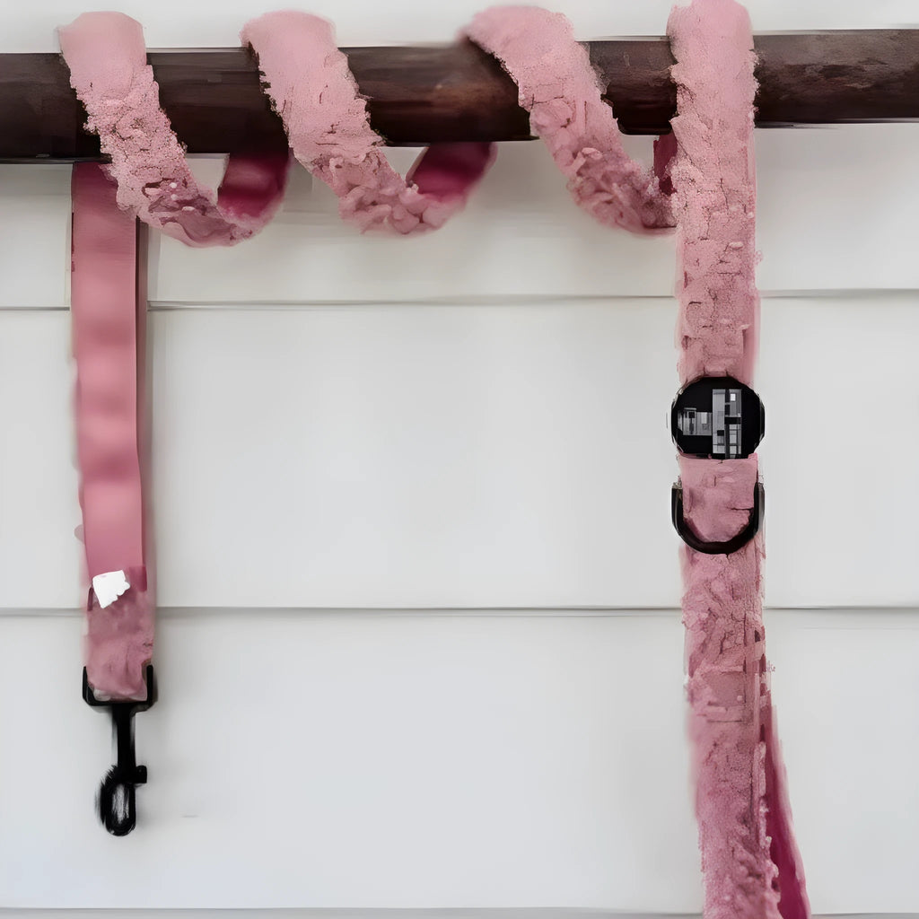 Teddy traction rope dog leash size S 1.5m in blue, brown or white