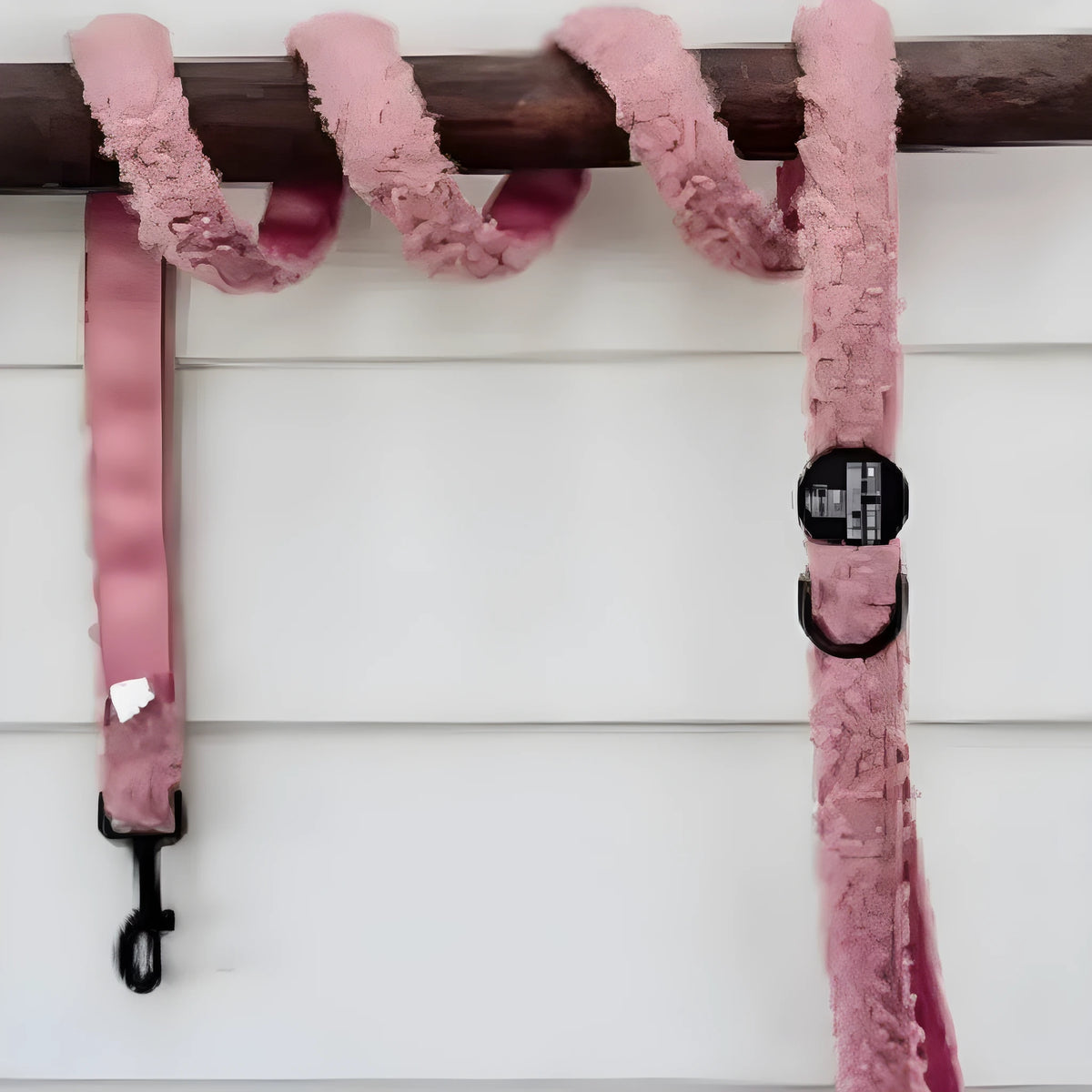 Teddy traction rope dog leash size S 1.5m in blue, brown or white