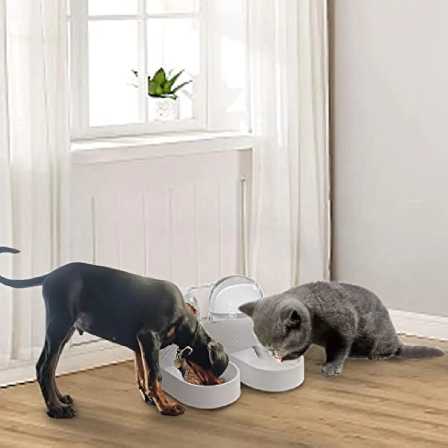 White gravity cat feeder and water dispenser set with wave-shaped design