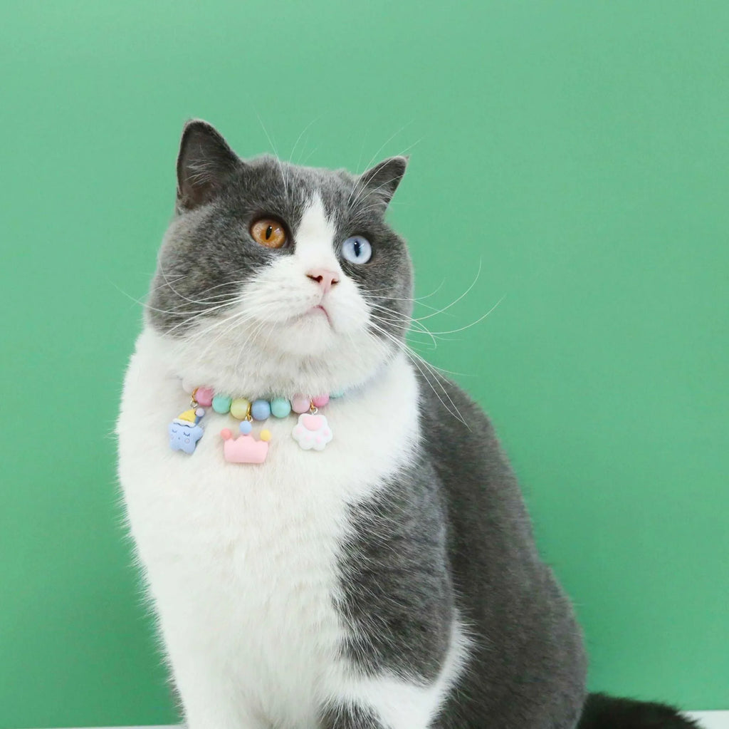 Macaron-themed resin decorative collar for a small dog or cat, shown in one of seven colour options.