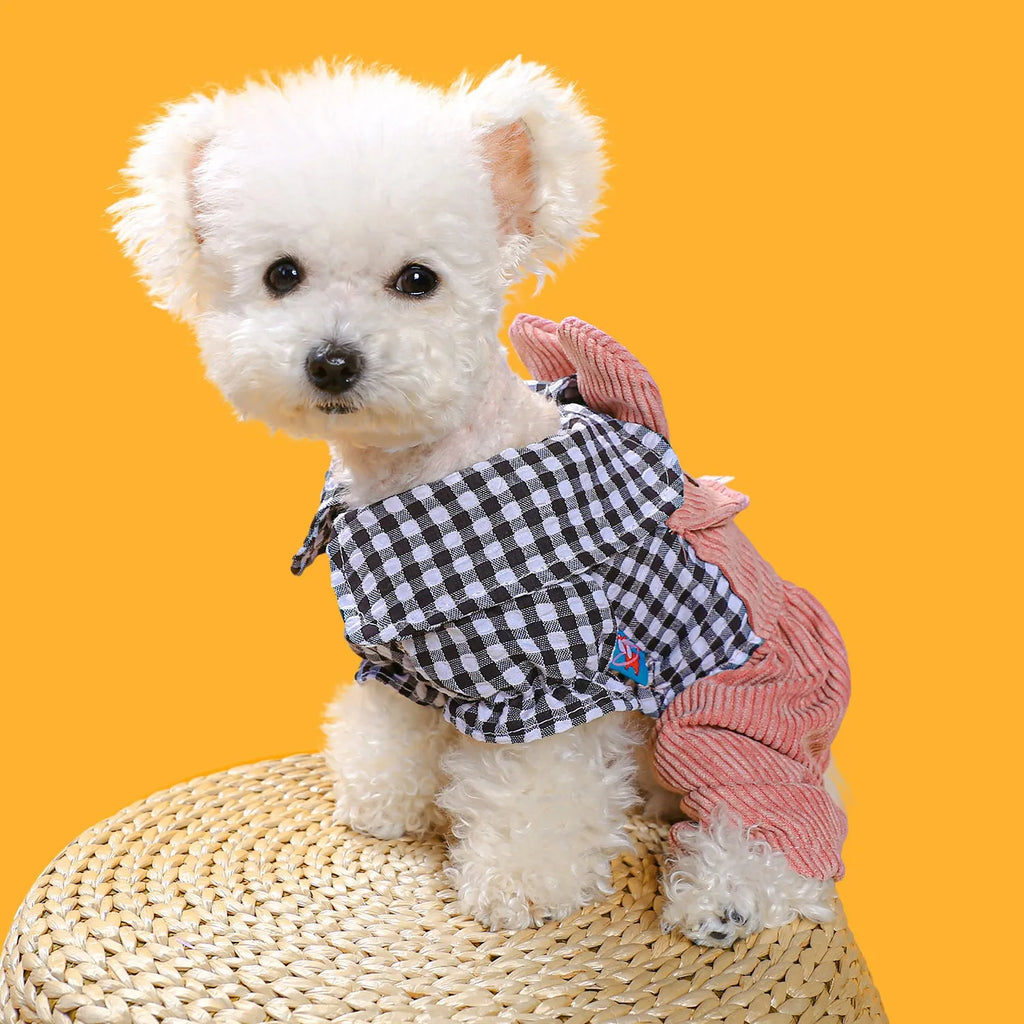 Four-legged plaid polyester pet overalls in black grid top, with full leg coverage, on a light background