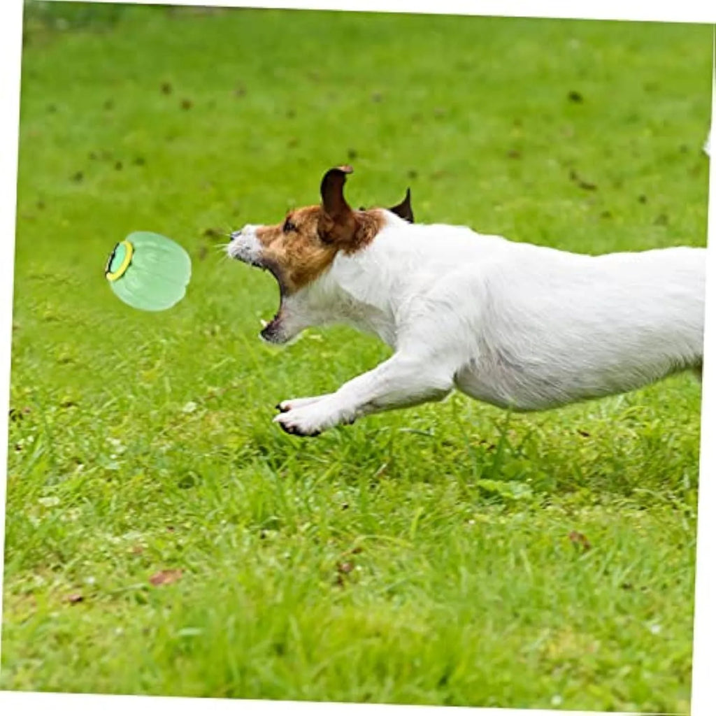 Pumpkin-shaped orange dog chew ball with squeaker for small dogs on a wooden floor.