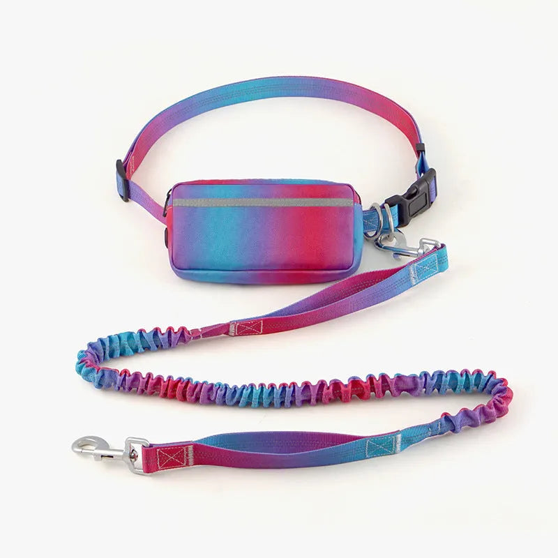 Hands-free adjustable dog leash with waist belt showing blue polyester traction rope with reflective stitching