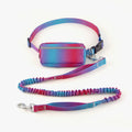 Hands-free adjustable dog leash with waist belt showing blue polyester traction rope with reflective stitching