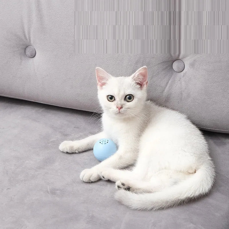 Self-hi pussy cat music ball with sounds and biteable texture in blue, green, and pink 46 mm