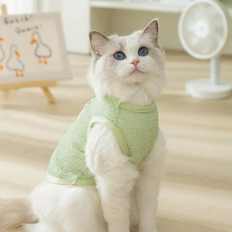 Cat wearing green bear patch cartoon clothing with hollowed-out breathable design