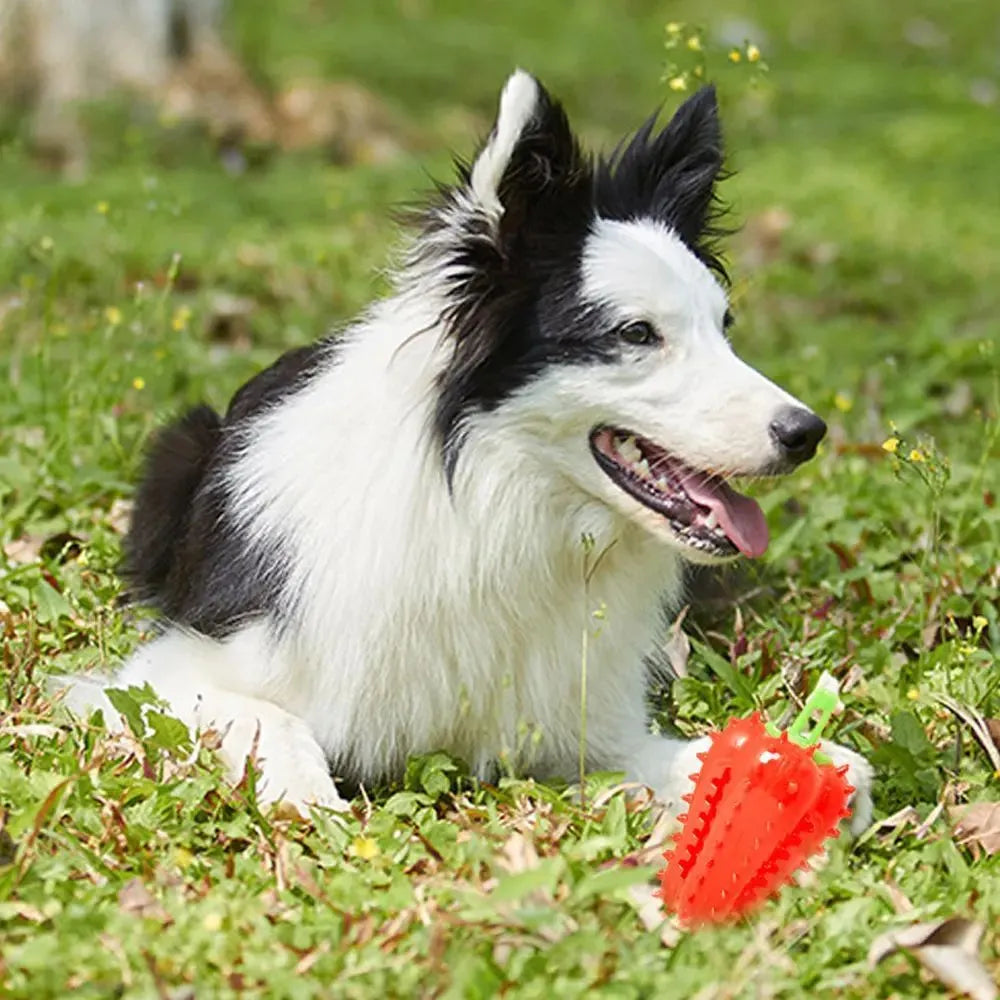Interactive dog teething chili chewers toy in green, red, and yellow; non-toxic TPR rubber, 10x5.2cm