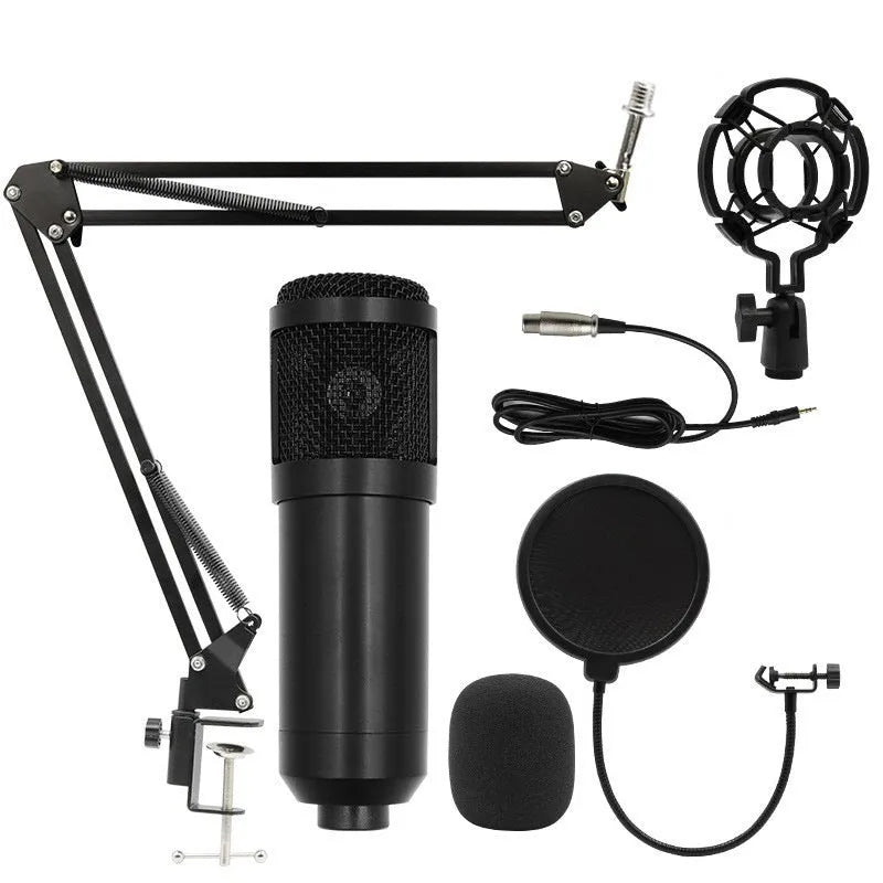 Black gold single wheat capacitor microphone set with cantilever bracket for mobile recording