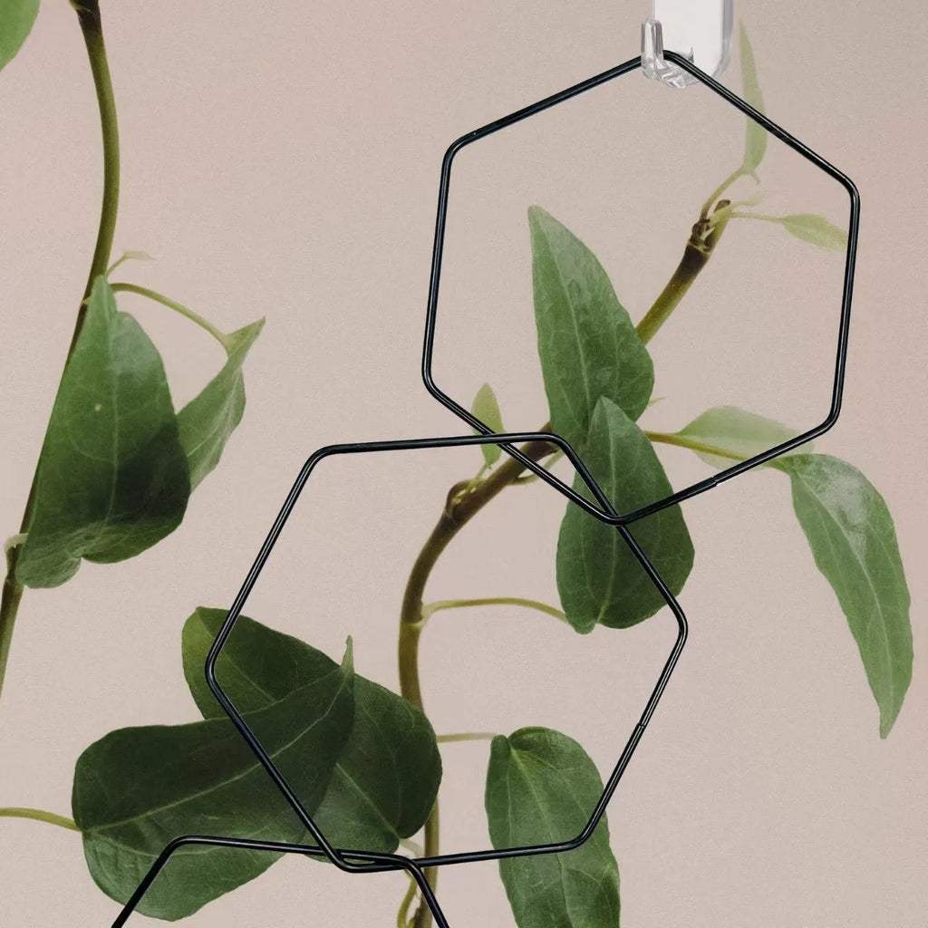 Hexagonal iron ring plant flower rack climbing frame with hooks and folding design