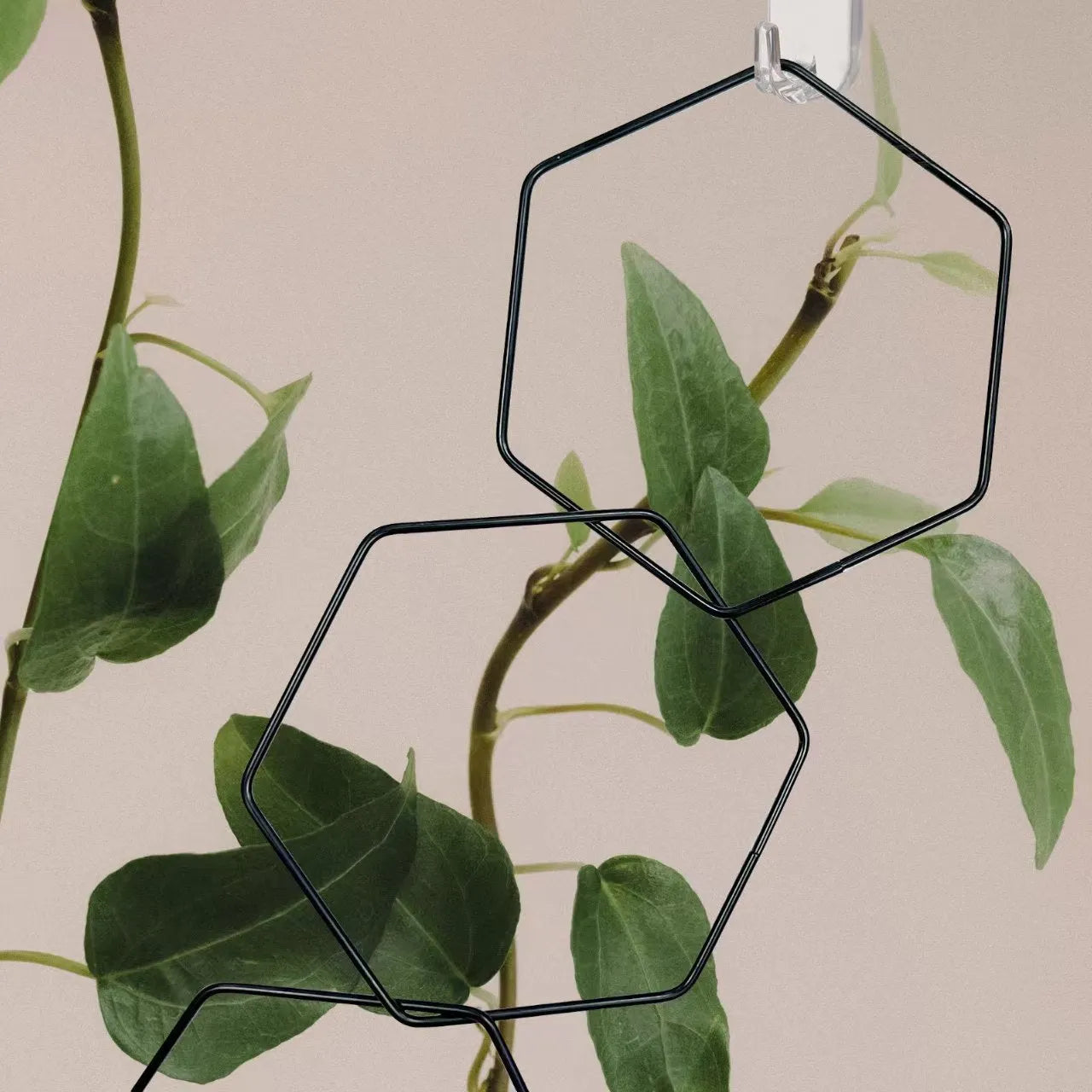 Hexagonal iron ring plant flower rack climbing frame with hooks and folding design