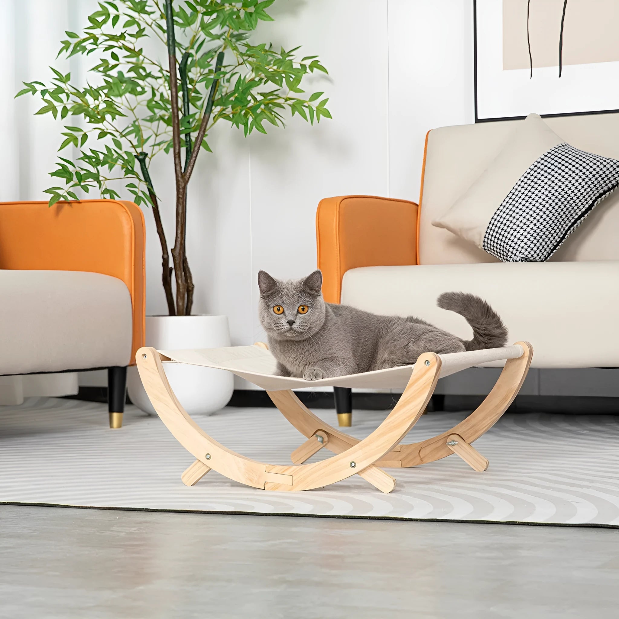Solid wood cat shaker bed with foldable hammock measuring 55cm long