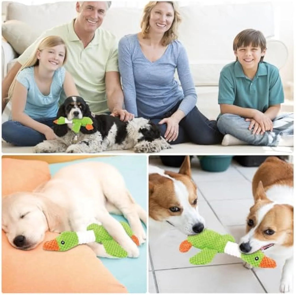 Blue durable plush duck dog toy with squeakers on a white background.
