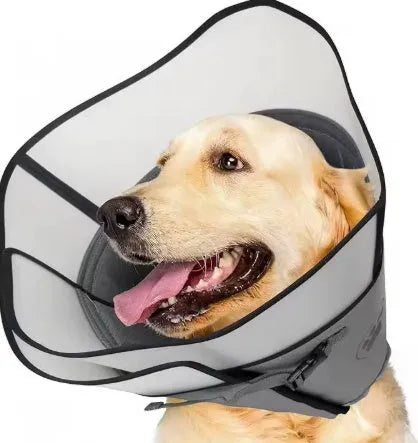 An adjustable polyester pet recovery collar shown in single-layer and double-layer styles.