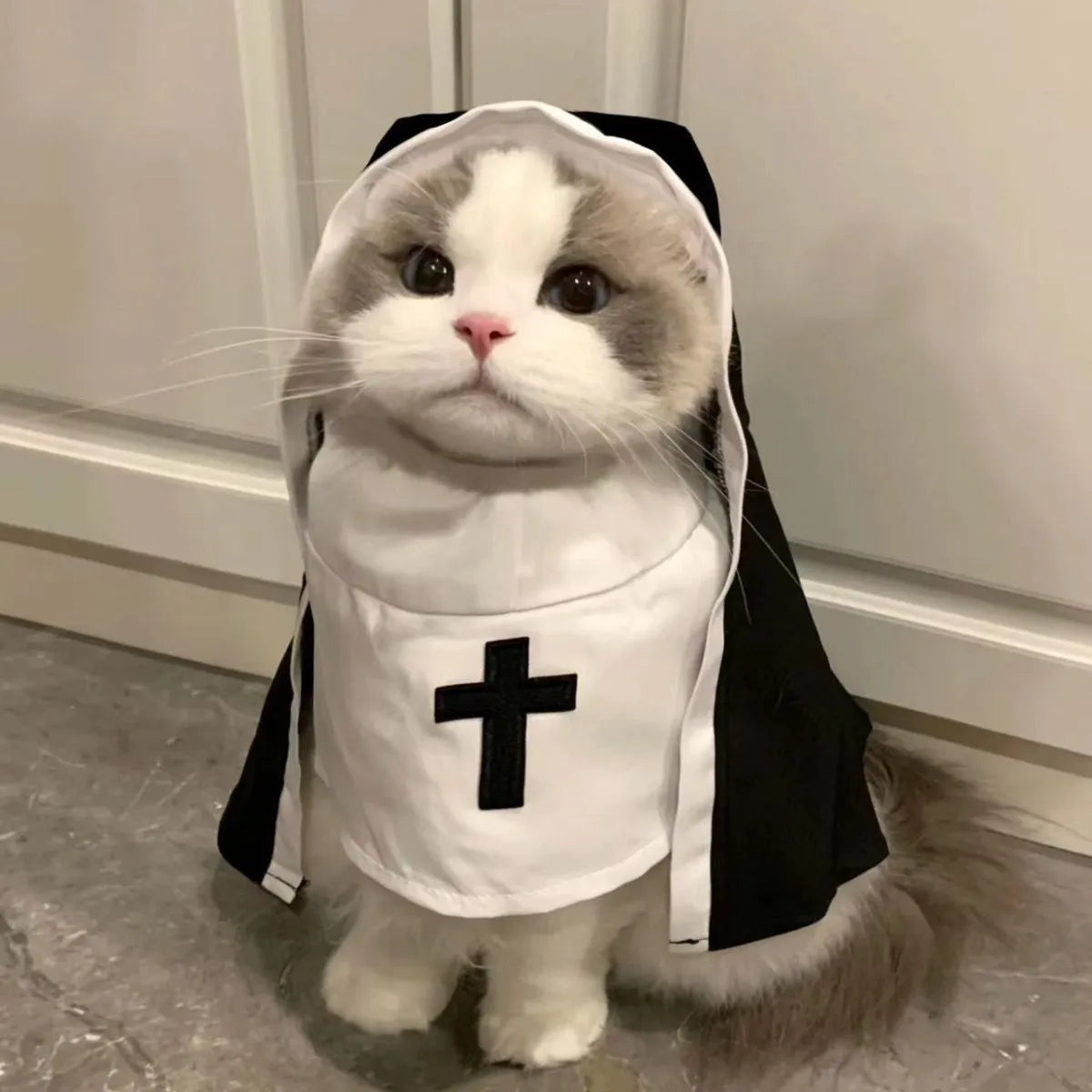 Black and white nun costume for small to medium dogs with pullover design