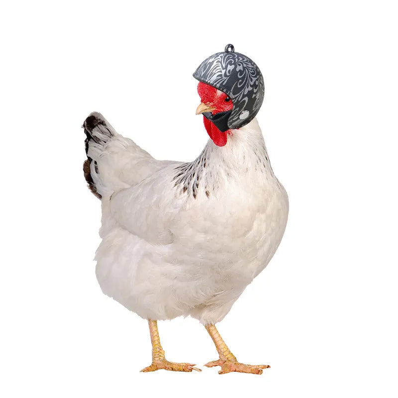 Plastic chicken helmet with colourful designs for poultry costume and photography use